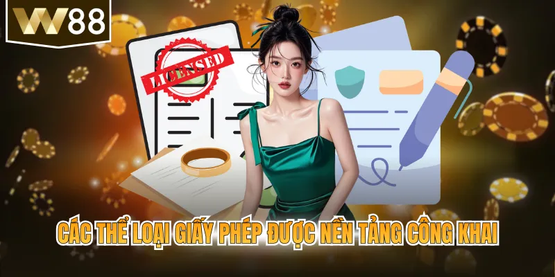 Các thể loại giấy phép được nền tảng công khai