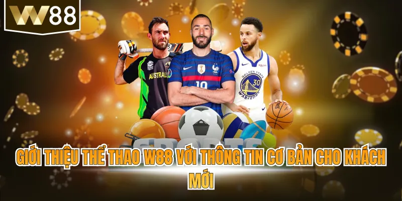 Giới thiệu thể thao W88 với thông tin cơ bản cho khách mới